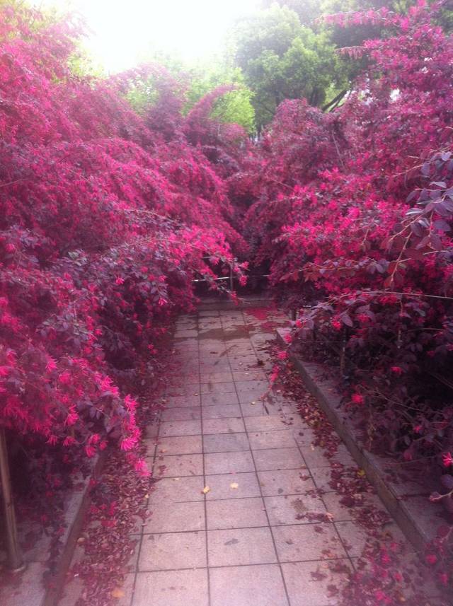 浙海关旧址博物馆