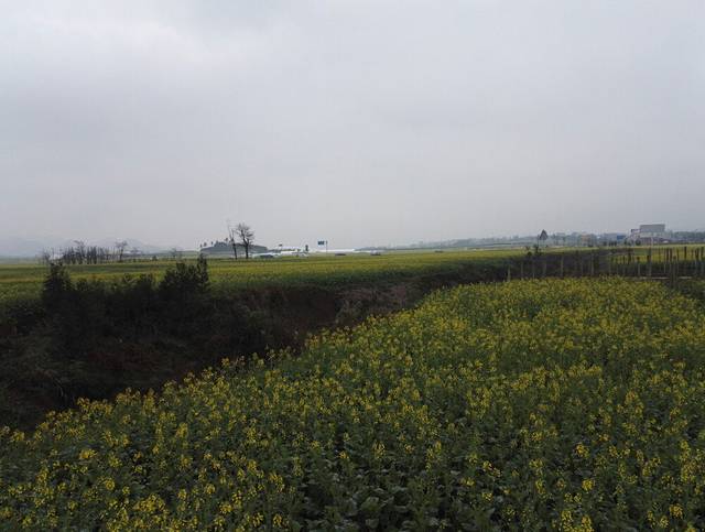 罗平航空露营地