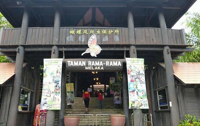 蝴蝶和爬行动物保育园