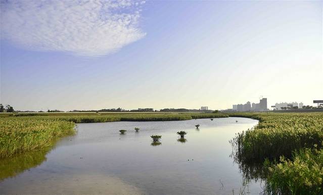 防城港湿地公园
