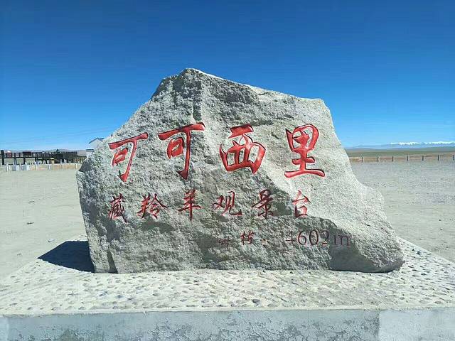 可可西里藏羚羊观景台