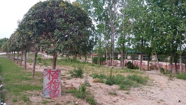 陕南珍稀植物园