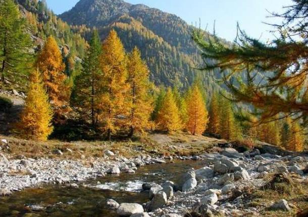 梅康图尔国家公园