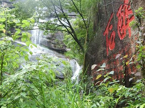 2019醉石_旅游攻略_门票_地址_游记点评,黄山区旅游景点推荐 - 去哪儿