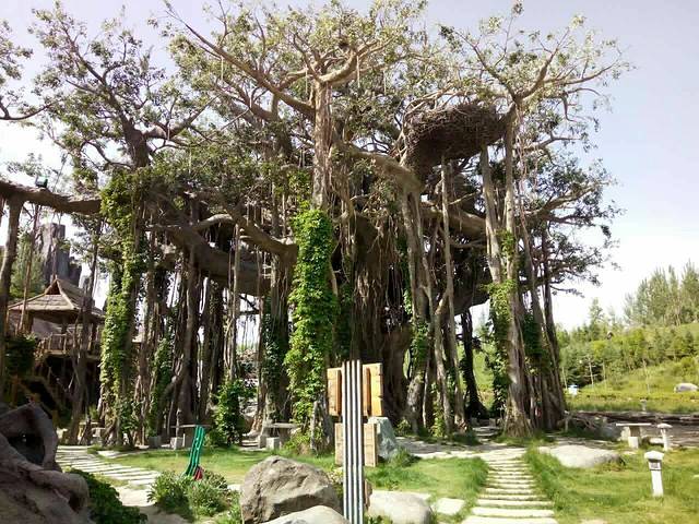 吉木萨尔地质公园