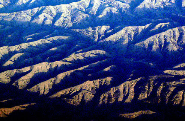 西鄂尔多斯珍稀植物自然保护区