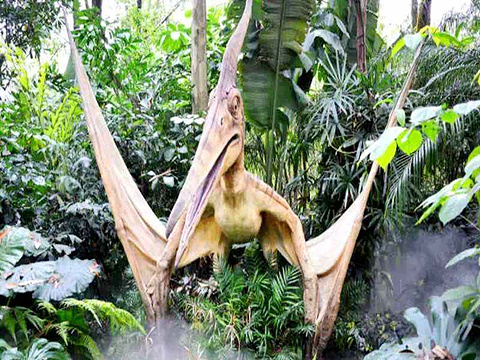 滴翠山庄恐龙展