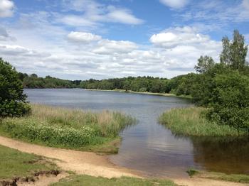 弗吉尼亚湖小镇