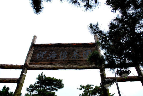 御海湾茶博园风景区