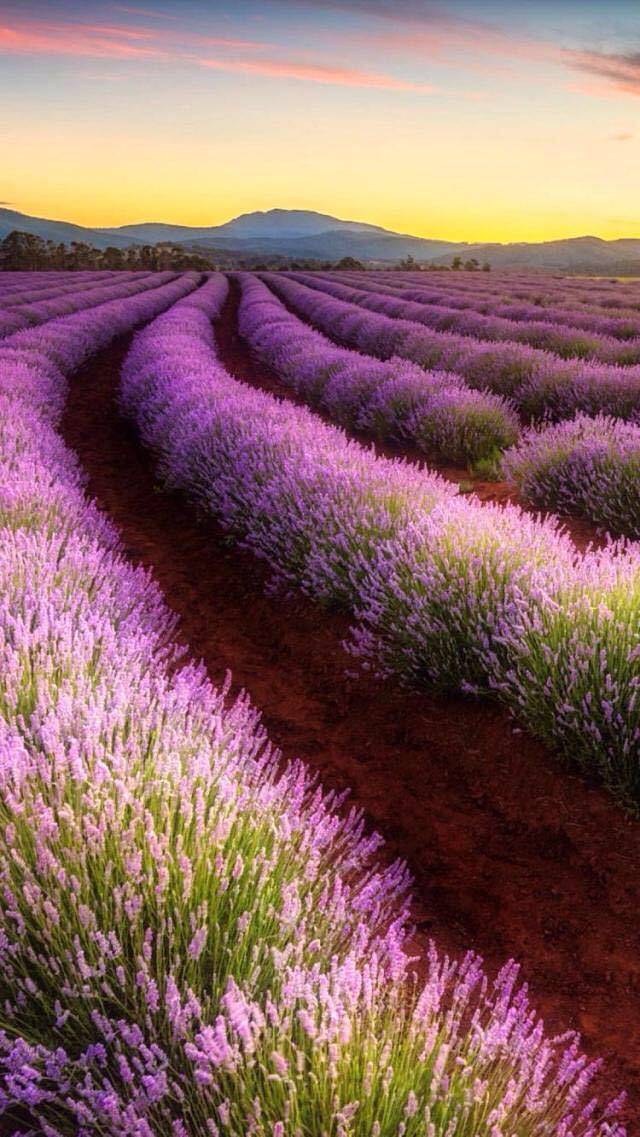 增城文化公园景区