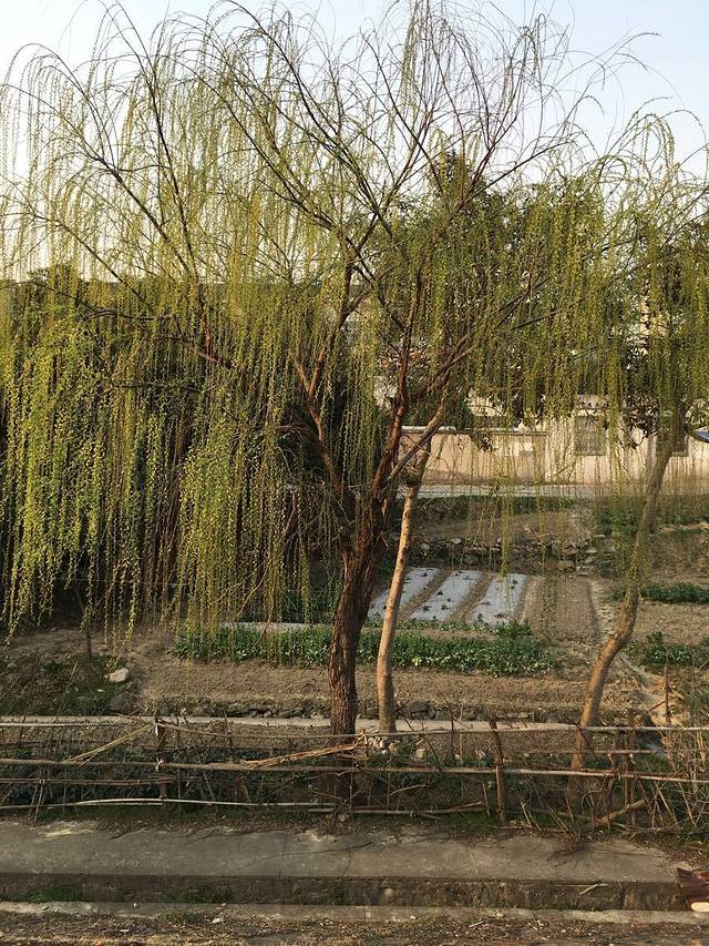 钓鱼山庄水上乐园