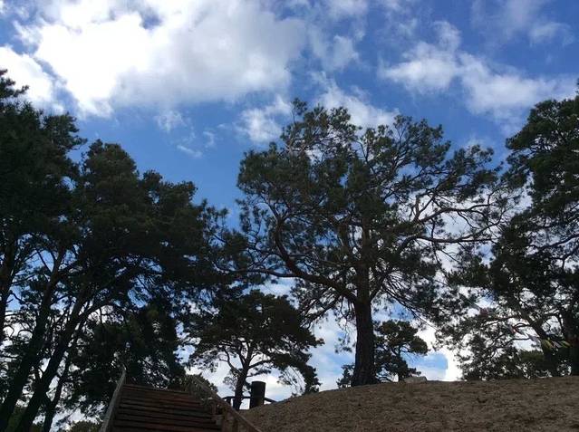 海拉尔国家森林公园-名人峰