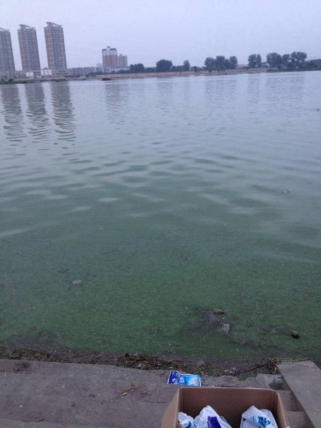 淘气猫(淯阳桥店)