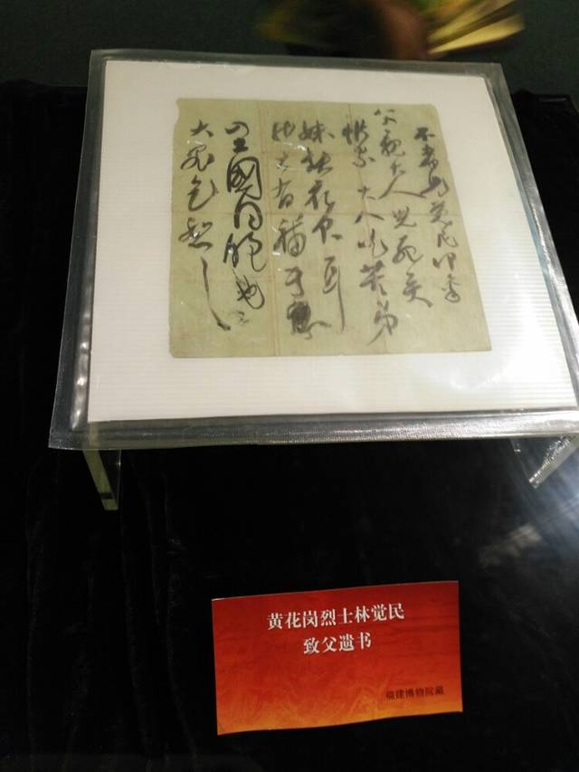 福建博物院-自然馆