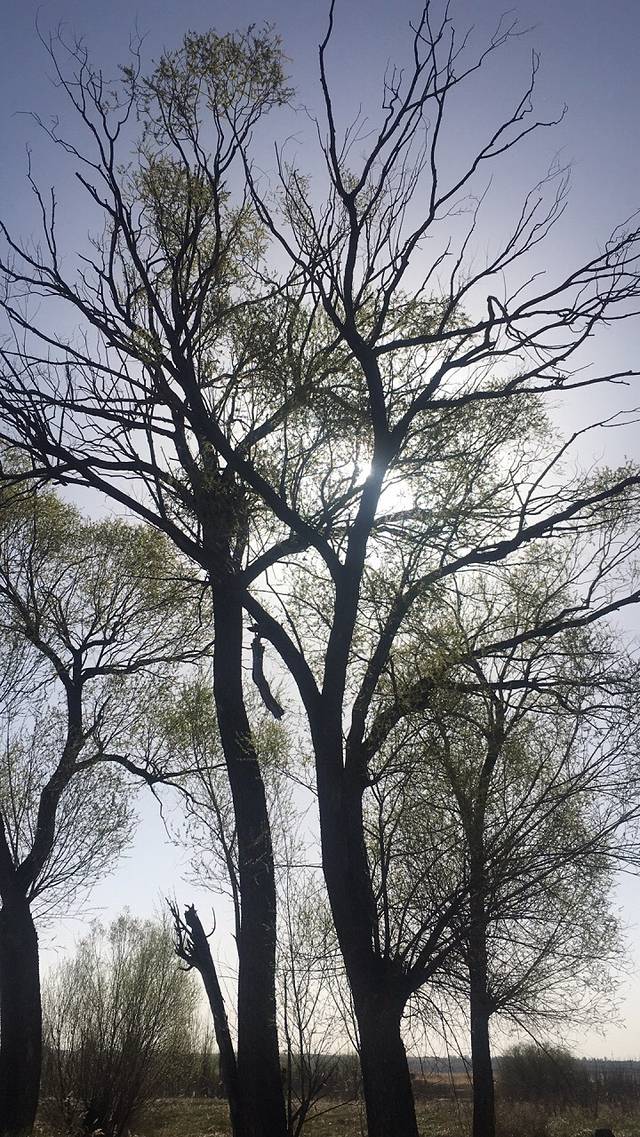 东红海子湿地公园