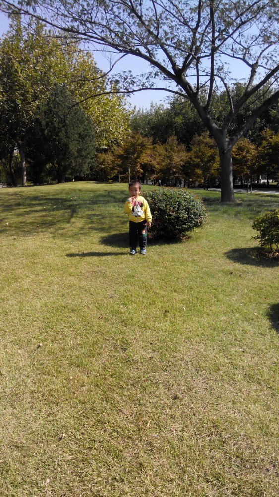 青岛达尼画家村