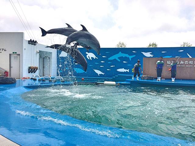 仙台海洋森林水族馆