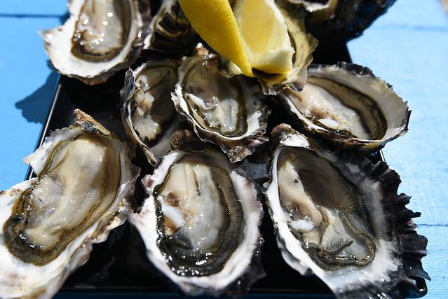 观菲欣纳海洋农场