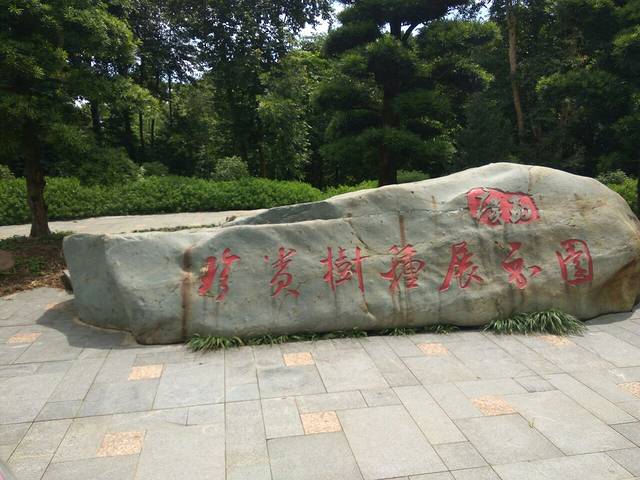 广西珍贵树种展示园