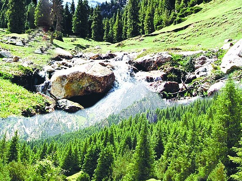 坡隴原始森林生態旅遊風景區