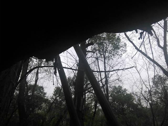 九锅箐森林公园