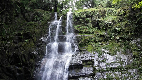 阳坝自然风景区