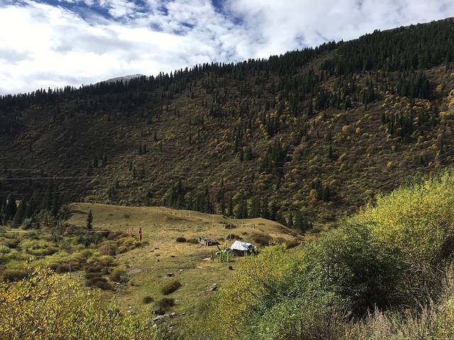 雅克夏森林公园