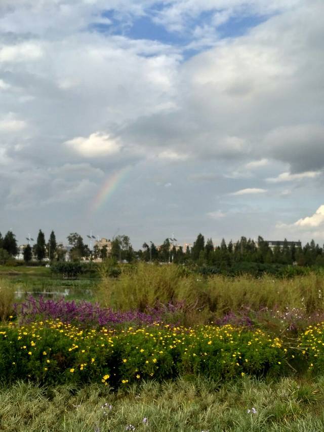 大鴕家觀光休閒農場/張家果園