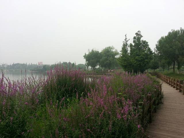 西北环城水系公园