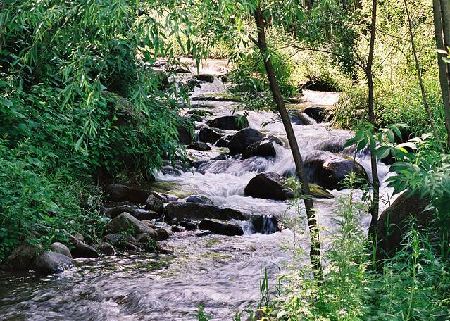 辽河源国家森林公园