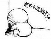 智博薰衣草庄园