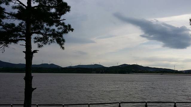 黑龙江洪河国家级自然保护区