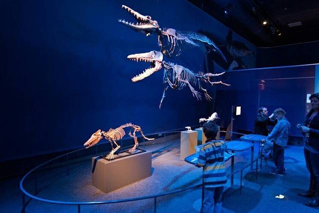 自然生物多样性中心