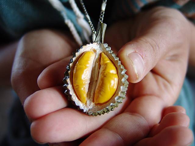 宝盛园榴莲庄园