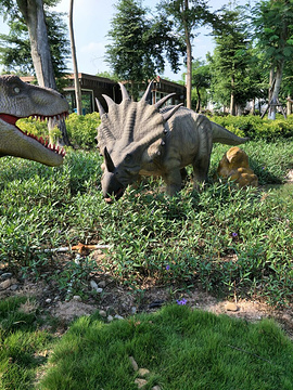 4 0 0恐龙梦公园 0%去过厦门的驴友来过这里 厦门景点排名第108 恐龙