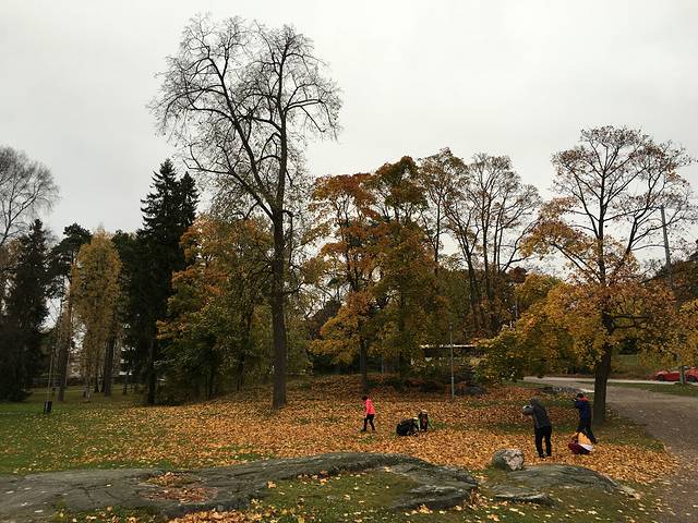 西贝柳斯纪念碑