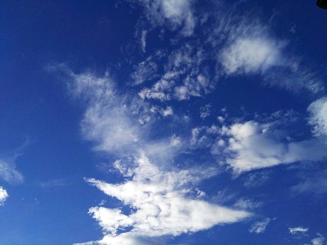 金色池塘第四店(北辰大道第四店)