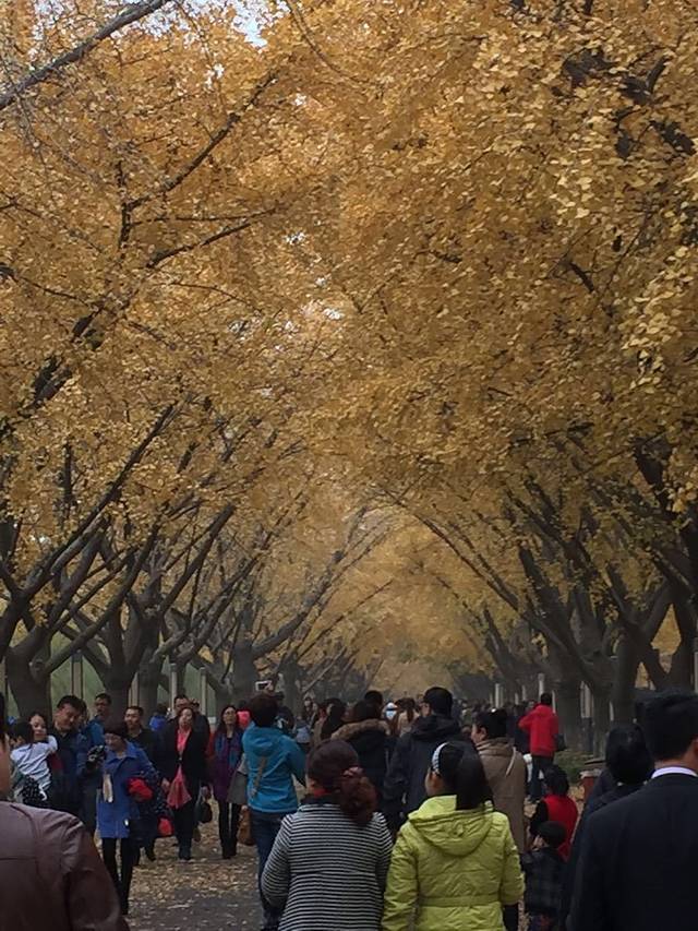 引江水利枢纽工程