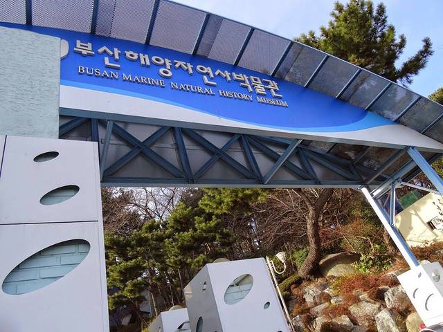 釜山大学 大学路