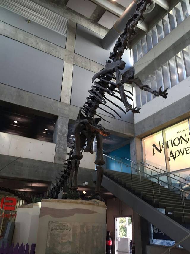 Museum of Science & Industry