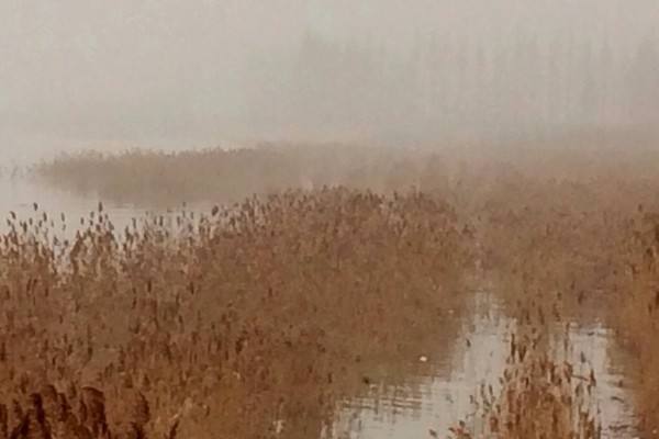 世界河口沙洲水文化展示馆