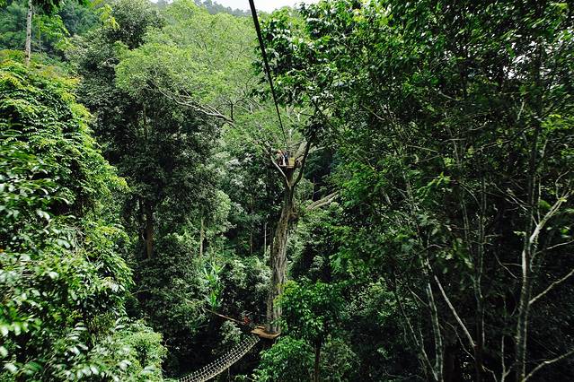 飞鼠索道滑轮－趣味冒险之旅