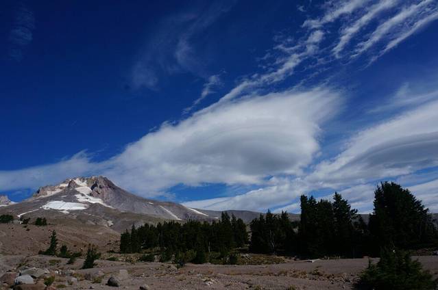 胡德山国家森林