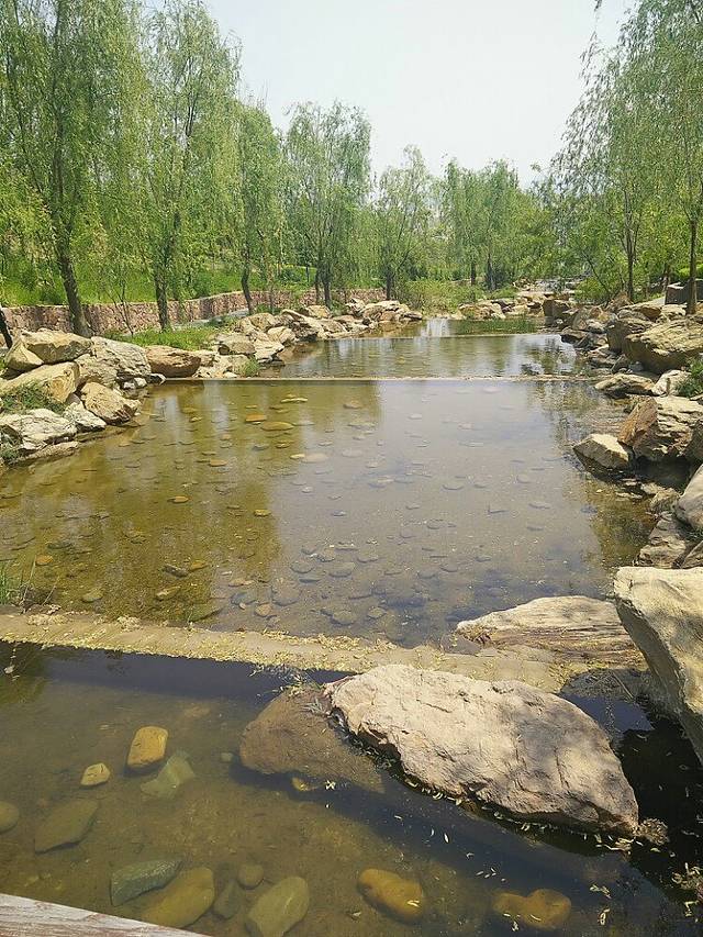 董家沟植物公园