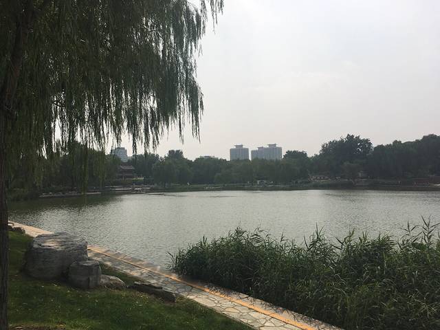 陶然亭公园冰场