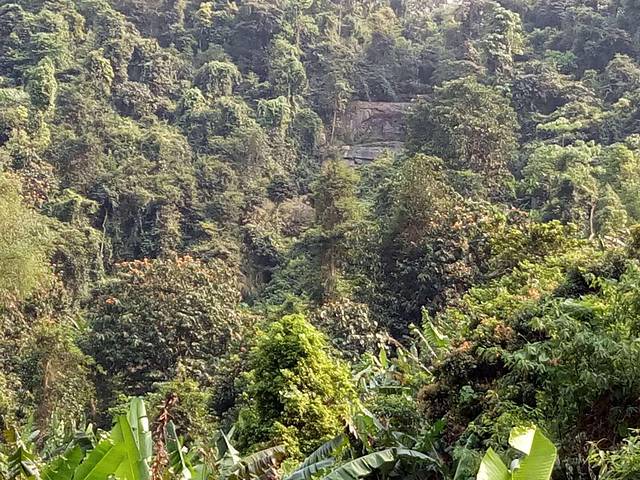 派阳山森林公园