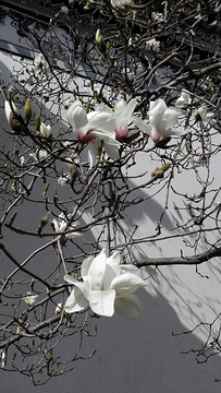 2018_清滨公园评论 - 去哪儿攻略社区