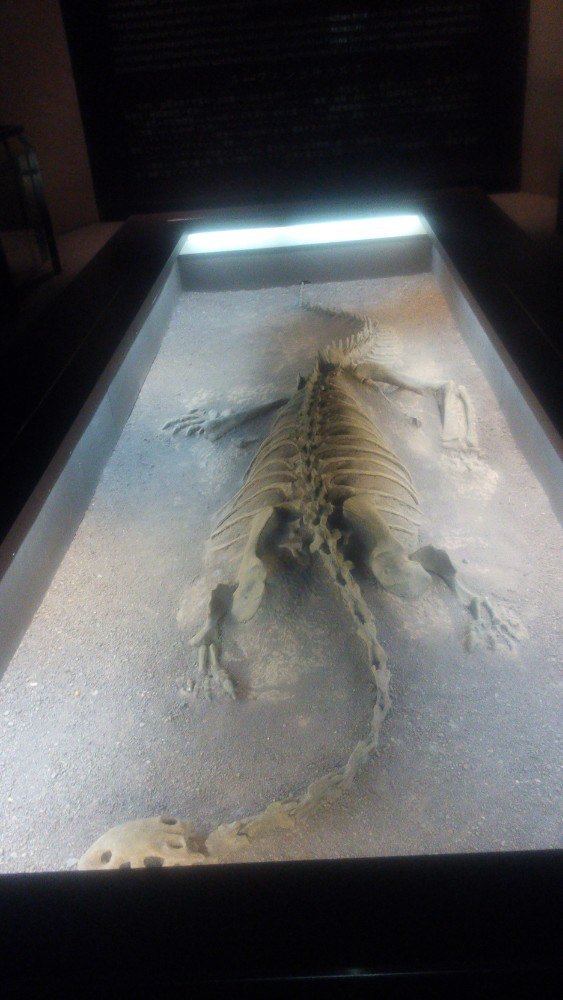 禄丰恐龙化石遗址