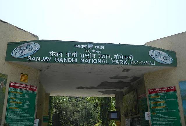 桑贾伊·甘地国家公园