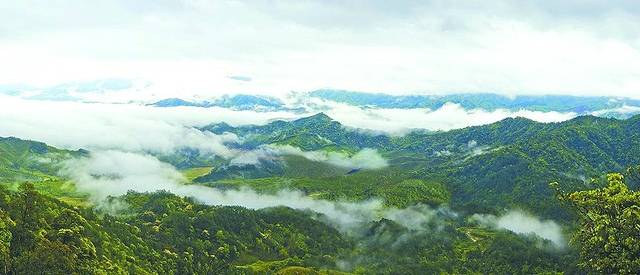 朱家山国家森林公园映山红景区